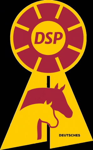 DeutschesSportpferd giphygifmaker horses ags dsp GIF