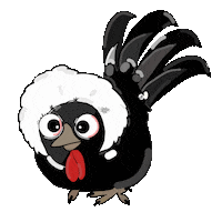 Chickens_gang polish chickens poule chickensgang Sticker