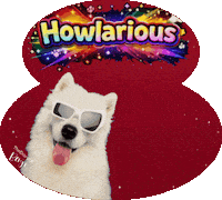 Laugh Hihi Sticker