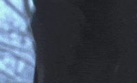 Groundhog Day GIF by GIPHY News