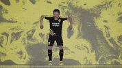 Black And Yellow Celebration GIF by New Mexico United