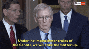impeachment mitch mcconnell GIF