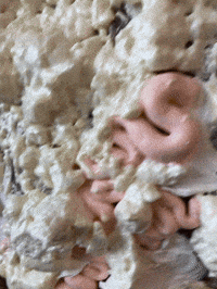 Making Of Mask GIF by Alex Boya