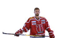Goal Mal Sticker by Örebro Hockey