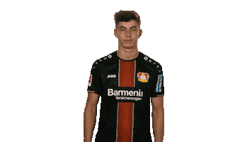 come on wtf Sticker by Bundesliga