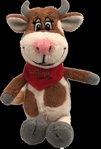 hotelderrindererhof hotelderrindererhof rindererhof GIF