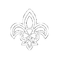 scoutingireland scouting ireland irish scouts scoutingireland ireland scouts Sticker