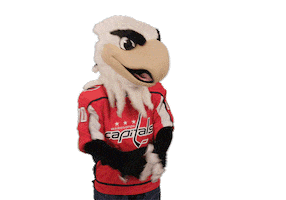 Ice Hockey Whatever Sticker by NHL