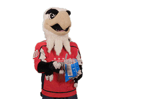 Ice Hockey Eating Sticker by NHL