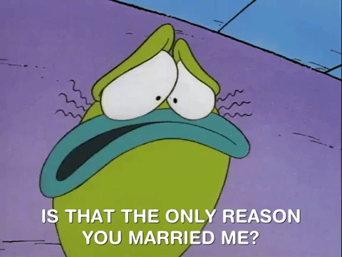 Rockos Modern Life Nicksplat GIF by NickRewind