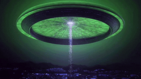 taughnee giphygifmaker GIF