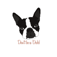 Mean Boston Terrier Sticker by The Good Wrench DIY
