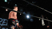 championship shwagif GIF by SHWA Wrestling