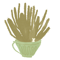 rayito_verde cactus rayito5555 rayitoverde Sticker