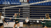 north dakota state bison GIF by NDSU Athletics