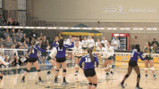 north dakota state bison GIF by NDSU Athletics