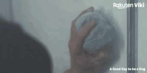 Cha Eun Woo Kdrama Couple GIF by Viki
