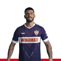 Celebrate Fabian Bredlow GIF by VfB Stuttgart