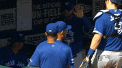 major league baseball sport GIF by MLB