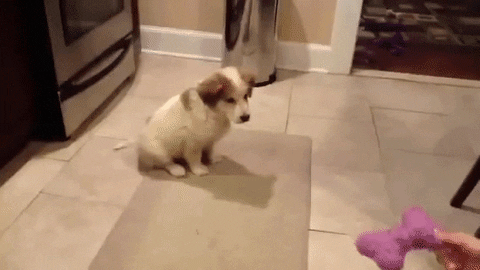 time GIF
