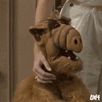 Tv Show Wow GIF by Laff