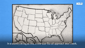 Usa Voting GIF by ACLU