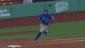 Blue Jays Celebration GIF by Toronto Blue Jays