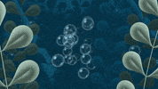 cutoutanimationstudio animation eye bubbles reveal GIF