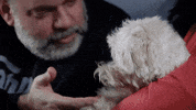 Scared Dog GIF by Brown & Crouppen