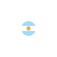 Flag Argentina Sticker by elturf