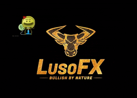 lusofx money trading forex investing GIF