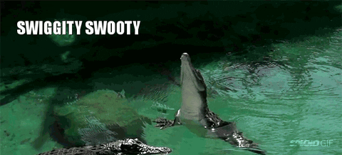 SWIGGITY SWOOTY GIF