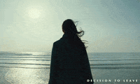 Park Chan-Wook Art GIF by Madman Films