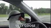 Happy Goose GIF