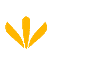 lotusmultimarcas  Sticker