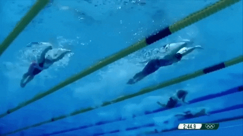 skillsnt giphyupload GIF