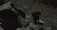 GIF by Wayward Pines