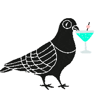 Party Drinks Sticker by goodnight_at