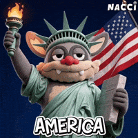 American Usa GIF