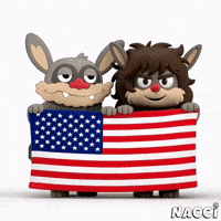 American Usa GIF