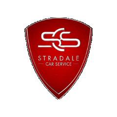 stradalecarservice giphyupload scs stradale Sticker