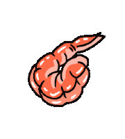 Shrimp Prawn Sticker by Sophie Rose Brampton