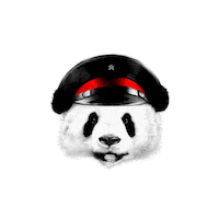 salmonguru panda salmon guru salmonguru panda salmon Sticker