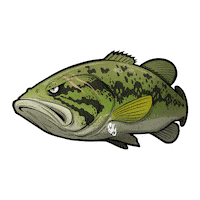 Largemouthbass Blackbass Sticker by Jolly Fishing