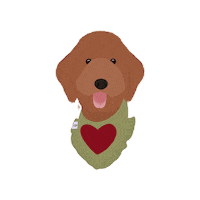 Dog Poodle Sticker