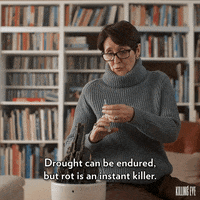 Season 3 Advice GIF by BBC America