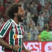 Sport Soccer GIF by Fluminense Football Club