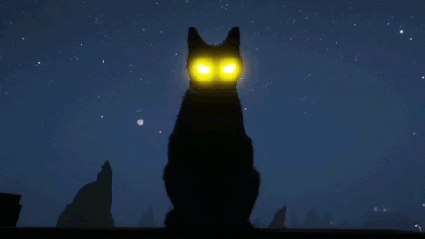 Blinking Black Cat GIF by Xbox