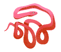 Snake Reptile Sticker by Mae Muller