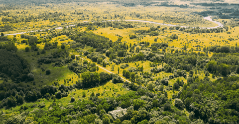 normanbadger giphygifmaker giphyattribution GIF